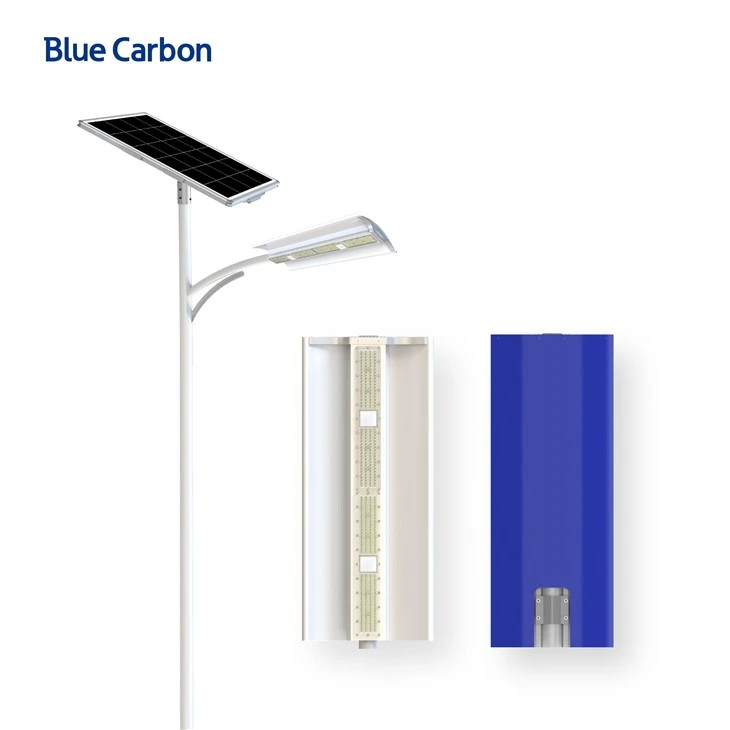 Blue Carbon High Power 12V Municipal Solar Street Light suppliers